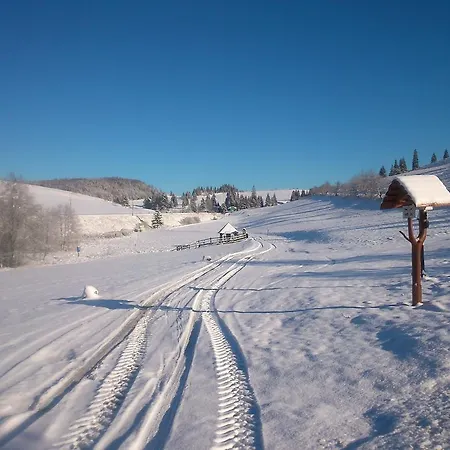 Club * Телгарт